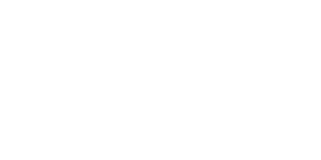 Gold Standard Security logo